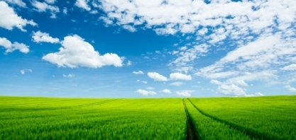 Cana: USDA estima moagem de 661,4 milhões de toneladas em 2023/24