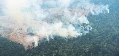 Queimadas no Brasil destruíram mais de 3 estados do Rio de Janeiro por ano