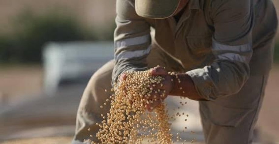 Anec eleva projeção de exportação de soja do Brasil em abril