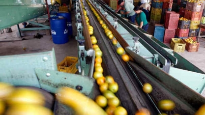 Gigantes do suco viram réus em ação que cobra R$ 12,7 bi por cartel