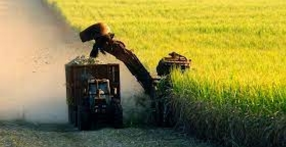 Brasil deve elevar produção de açúcar com 