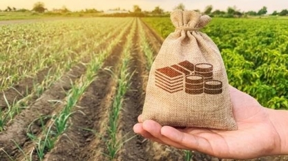 STF libera cobrança da ‘taxa do agro’ em Goiás