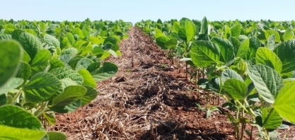 Com safra recorde, Brasil teve maior aumento de área de soja em 9 anos