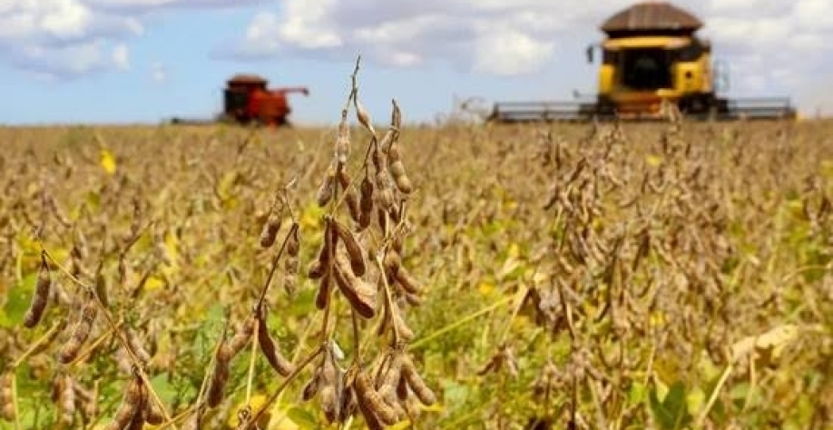 Agrishow/2023: Especialistas comentam desafios do agro brasileiro em 2023