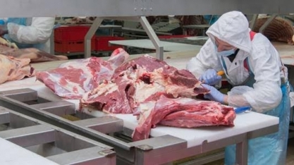 Carne: Exportações em abril atingem menor patamar desde novembro de 2021