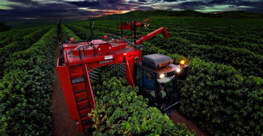  Produção global de café em 2022/23 está prevista 171,3 milhões de sacas