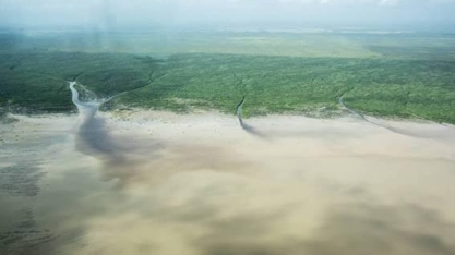 Ibama nega pedido da Petrobras para explorar petróleo na foz do Amazonas