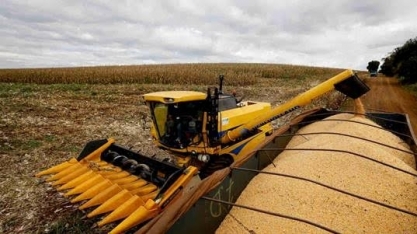 Brasil começa colheita de milho 2ª safra, que será maior que o esperado