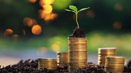 Por que ricos empresários doam fortunas às universidades agrícolas nos EUA