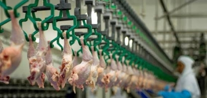 Brasil se prepara para novo recorde de exportações de carne de frango