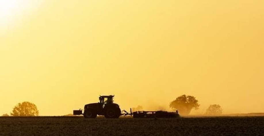 Preços agrícolas continuam a cair no campo e no varejo