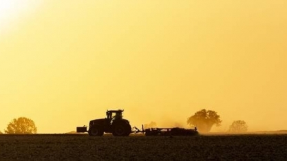 Preços agrícolas continuam a cair no campo e no varejo