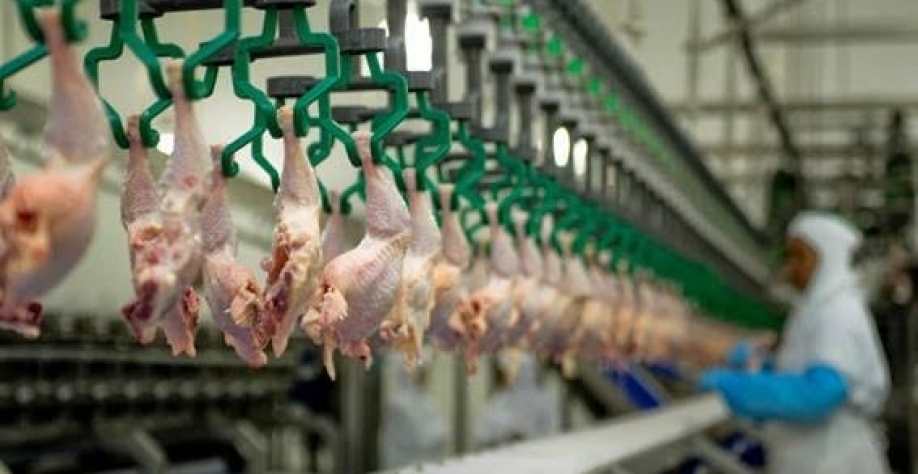 O Brasil é o maior exportador de carne do planeta.Foto Reprodução-Sindiavipar