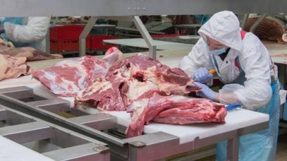 Abates em 2023 são de gado mais leve