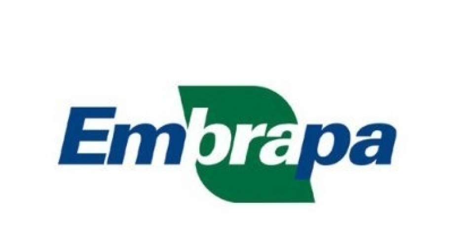 Embrapa, 50, deu os rumos da agropecuária do Brasil