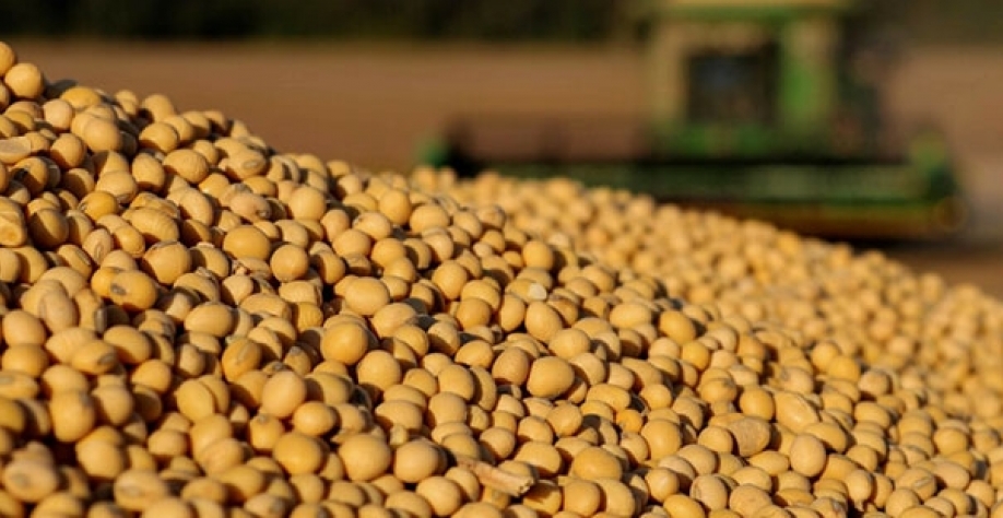 Cadeia da soja e do biodiesel exportou US$ 61,3 bi em 2022, 38% do agro