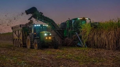 StoneX sobe previsão de moagem de cana e produção de açúcar do Centro-Sul