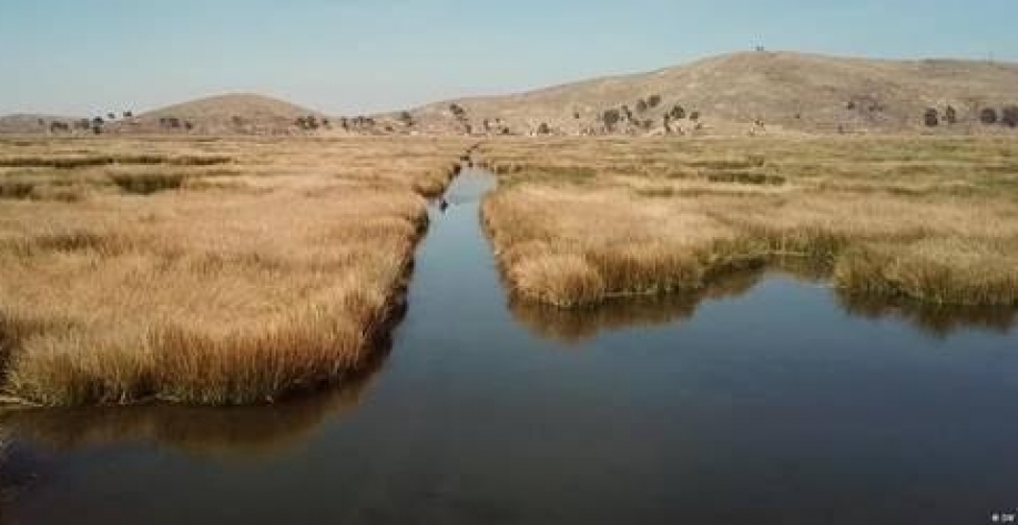 Metade dos maiores lagos do mundo está secando, diz estudo