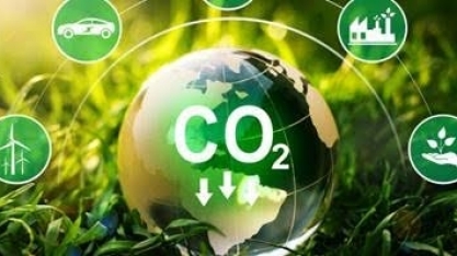 Captura e armazenamento de carbono - Por Isabela Morbach e Nathália Weber