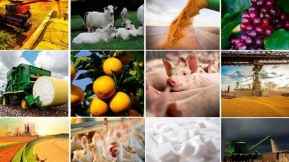 Opor agronegócio e indústria é simplesmente um erro