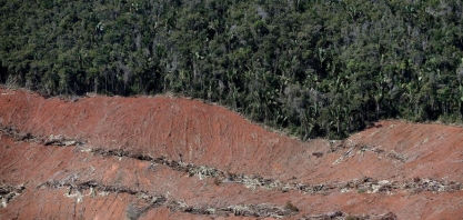 Mata Atlântica perdeu 28 mil campos de futebol em um ano