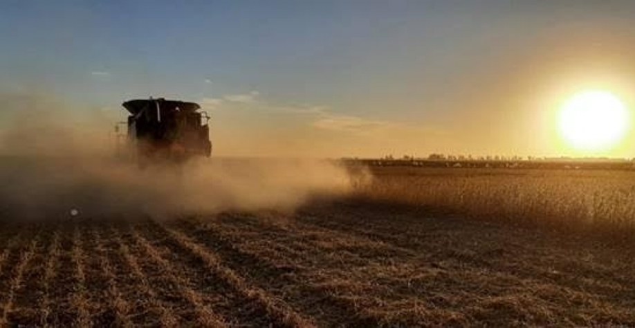 Produção de soja na Argentina deverá ser a menor dos últimos 15 anos