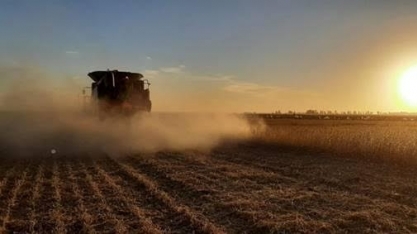 Produção de soja na Argentina deverá ser a menor dos últimos 15 anos