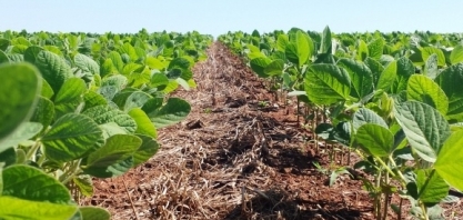 Soja: Análise Conjuntural Agromensal Abril/2023 Cepea/Esalq/USP