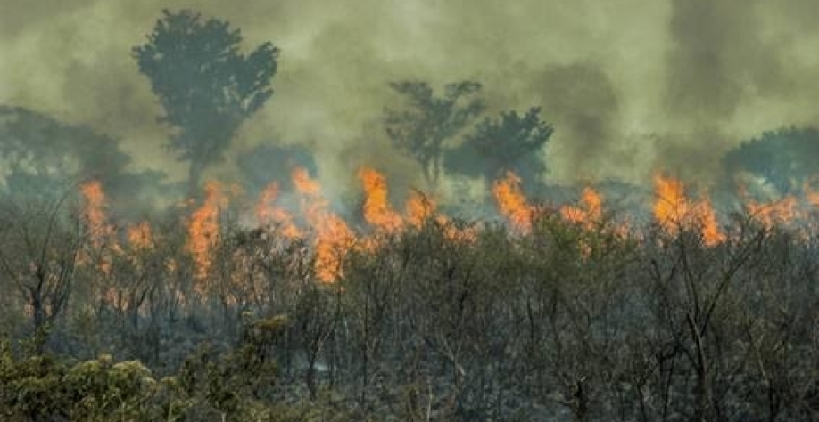 Queimadas na Amazônia aumentam 65% de janeiro a abril, para 1,3 mi de há