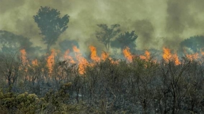 Queimadas na Amazônia aumentam 65% de janeiro a abril, para 1,3 mi de há