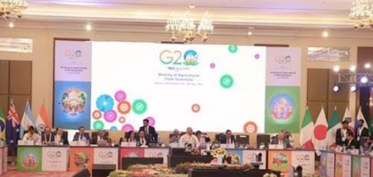 Aumenta o interesse internacional por agricultura sustentável do Brasil