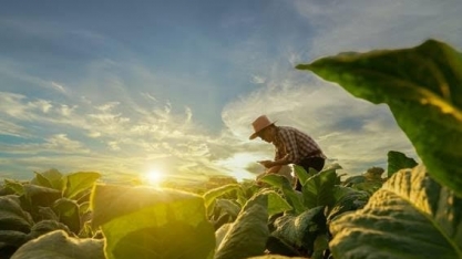 Plano Safra vira novo embate entre bancada do agronegócio e governo Lula