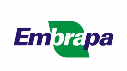 Sucesso da Embrapa se explica pela qualidade dos pesquisadores