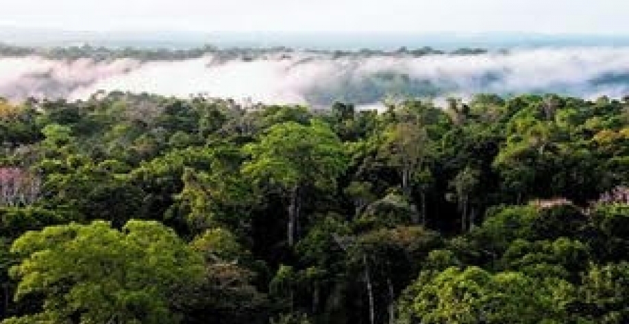 Região da Amazônia Legal abarca nove Estados brasileiros e é maior em área do que a União Europeia. Foto- Herton Escobar-Estadão - 07-10-2017