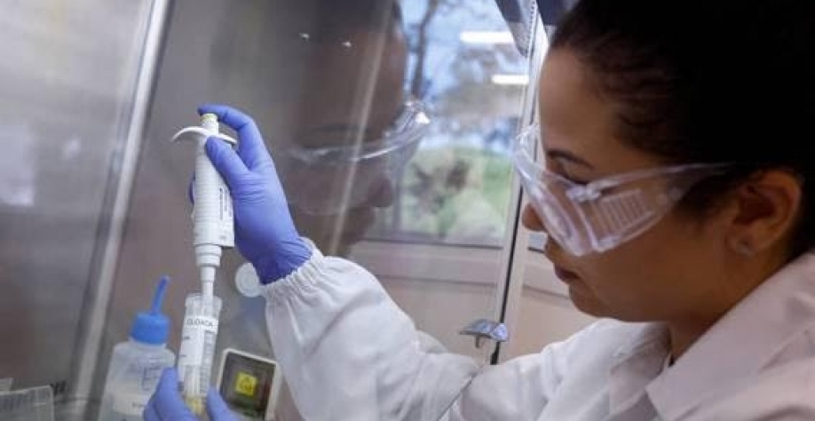 Talita de Lima Freitas, inspetora federal de agricultura, analisa amostra para detectar o vírus da gripe aviária no laboratório de referência da Organização Mundial de Saúde Animal, em Campinas - Amanda Perobelli-Reuters