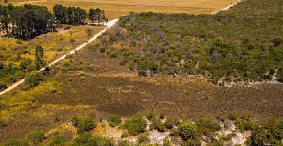 Área desmatada em fronteira agrícola em Correntina (BA) - Marcio Sanches - 4.ago.22/WWF Brasil