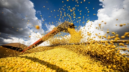 Agricultura do Brasil vai ter 4 safras recordes em 2023