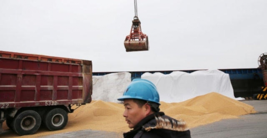 Anec vê alta de mais de 30% na exportação de soja do Brasil em junho