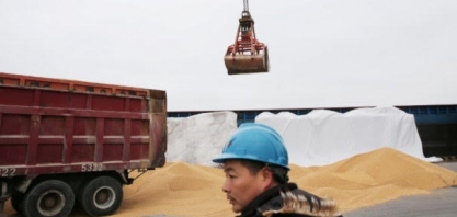 Anec vê alta de mais de 30% na exportação de soja do Brasil em junho