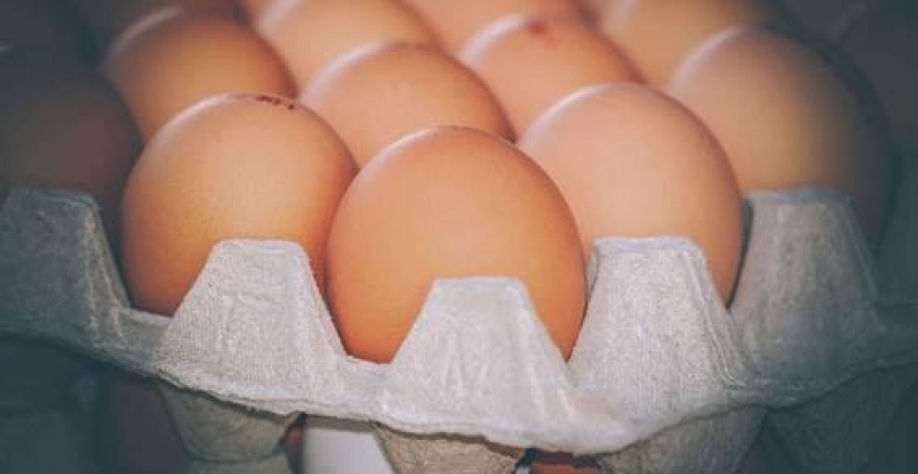  Exportação de ovos atinge 11,950 mil t em 5 meses e supera a do ano passado