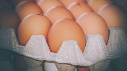  Exportação de ovos atinge 11,950 mil t em 5 meses e supera a do ano passado