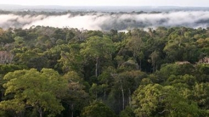 ‘O Brasil perderá mercados se não cuidar dos biomas’, alerta ambientalista