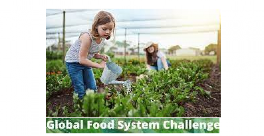 The Future Global Food System Challenge vai distribuir US$ 1 mi em prêmios