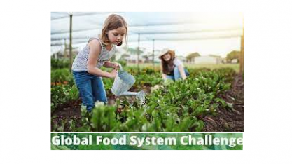 The Future Global Food System Challenge vai distribuir US$ 1 mi em prêmios