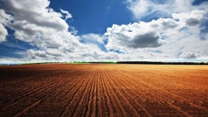 Condições das lavouras americanas se mantêm ruins, e preços sobem