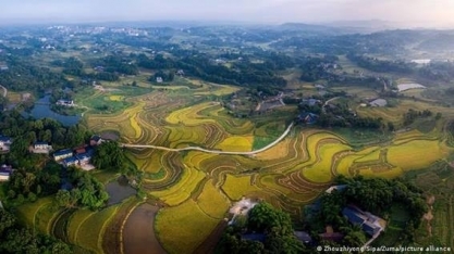 Alimentos geneticamente modificados: caminho sustentável?