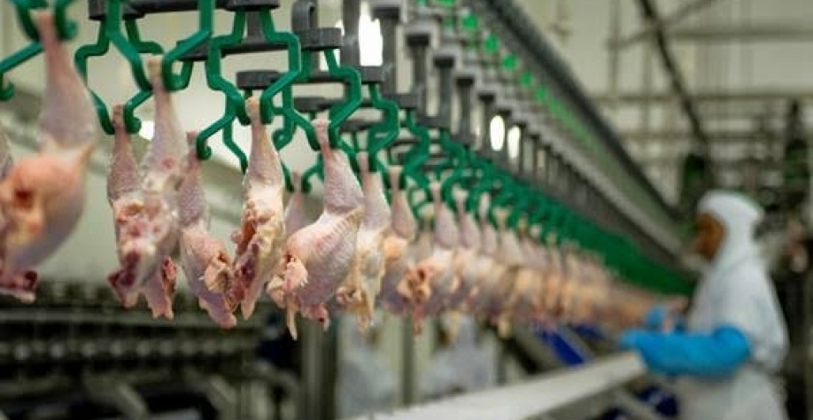 Gripe aviária: Japão interrompe compras do Espírito Santo