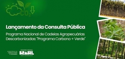 Programa Carbono + Mais Verde entra em consulta pública