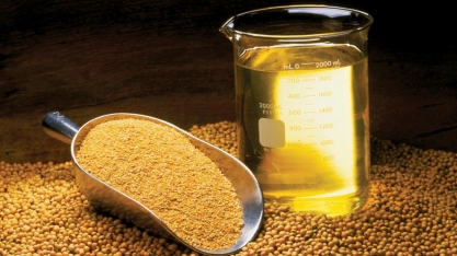 China reduz previsão de importação de óleo de soja em quase 60% em 23/24