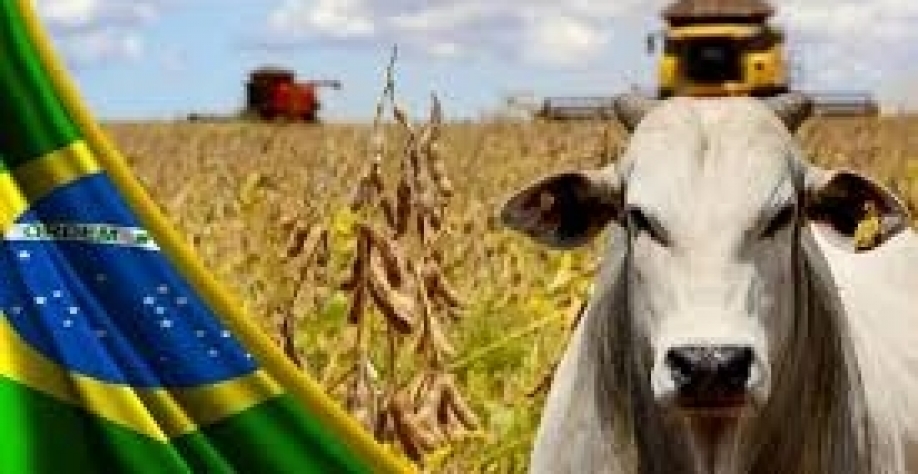 Ministério da Agricultura estima VBP de 2023 de R$ 1,179 tri, alta de 3,8%
